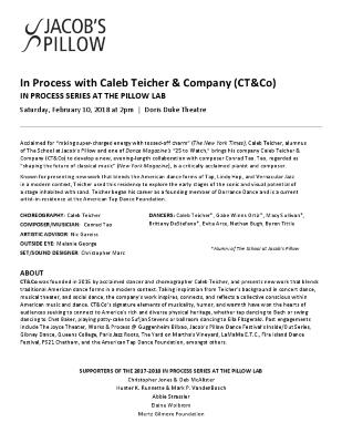 Caleb Teicher & Company (CT&Co) Pillow Lab Program 2018