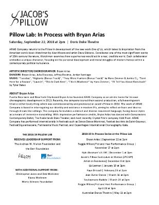 Bryan Arias Pillow Lab Program 2018