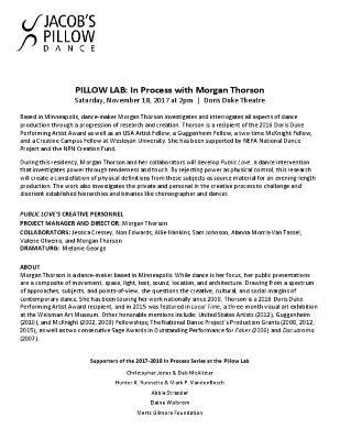 Morgan Thorson Pillow Lab Program 2017