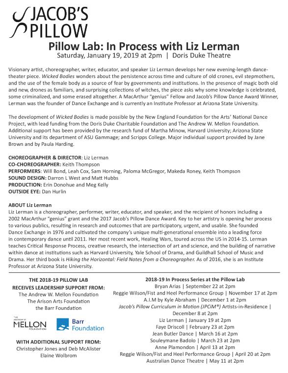 Liz Lerman Pillow Lab Program 2019