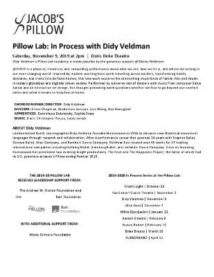 Didy Veldman Pillow Lab Program 2019