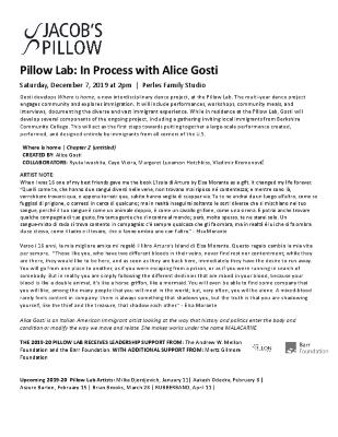 Alice Gosti Pillow Lab Program 2019