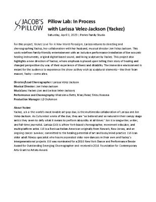 Larissa Velez-Jackson Pillow Lab Program 2023